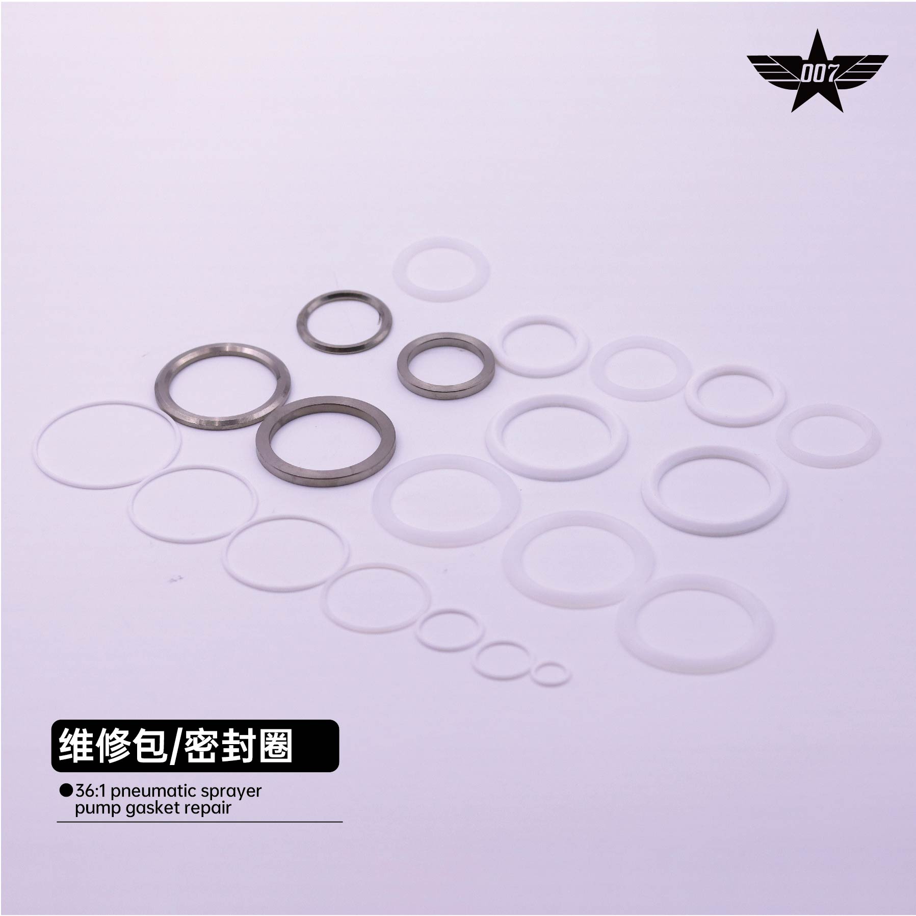 pneumatic sprayer pump gasket repair